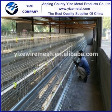 China hot selling chicken layer cage /96 layers chicken cage/laying hen cage