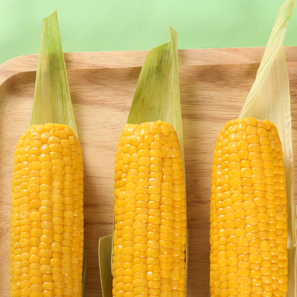 Canned Sweet Corn of Cream Style