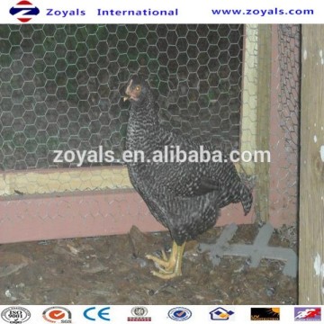 Galvanized Hexagonal Chicken Coop