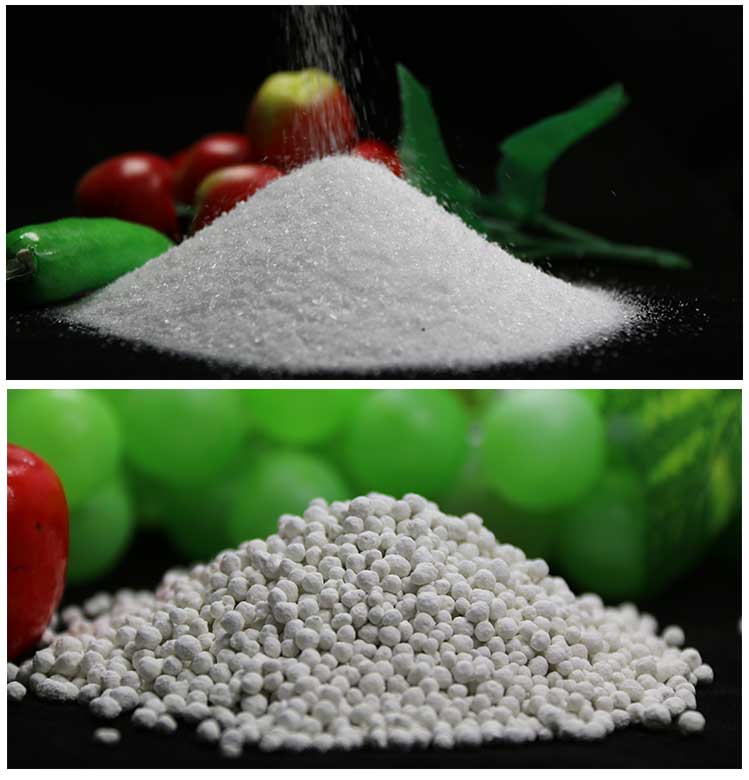 Granular MAP Granular map fertilizer mono ammonium Phosphate