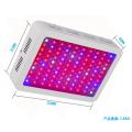 Full Spectrum Indoor Led wachsen leicht