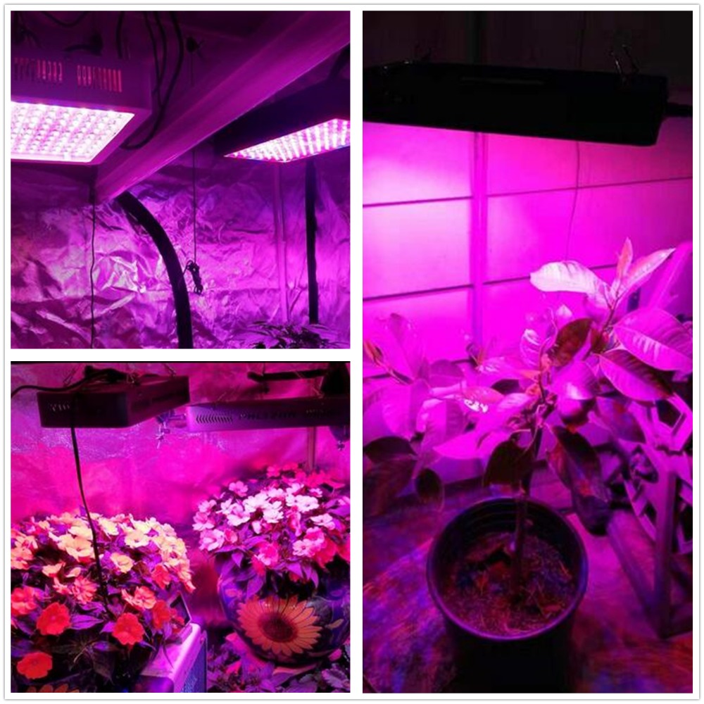 COB LED Plant Light