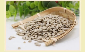 New Crop Sunflower Seed Kernels Bakery Type