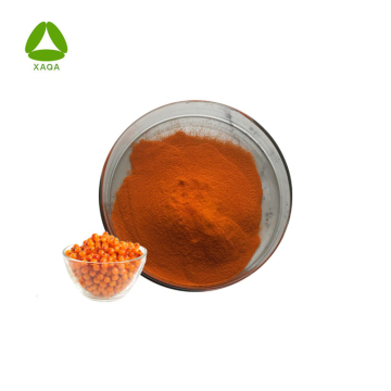 Natural Organic Sea Buckthorn Extract Flavone Powder