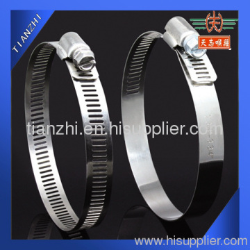 Stainless Steel Worm Drive Band Clamp?