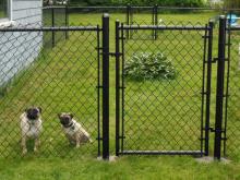 good decorative effect Chain LInk Fencing