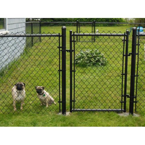 dobry efekt dekoracyjny Chain LInk Fencing