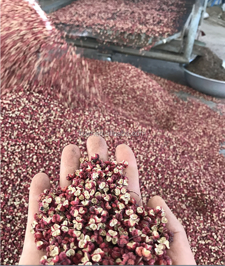 Chinese prickly ash/sichuan pepper