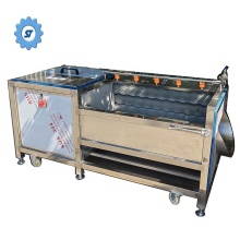 Hygienic Vegetable Blanching Equipment for Food Processing