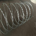 Steel Barbed Wire Rolled Fencing Galvanised barbed wire