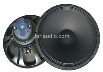 Professional PA Loudspeaker