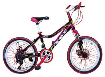 Fashion Road Bike 20 Inch Mountain Bike