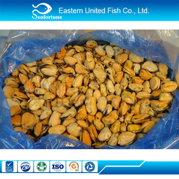 hot sale green lipped mussel extract