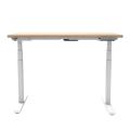 Dual Motor Electric Height Adjustable Sit Stand Desk