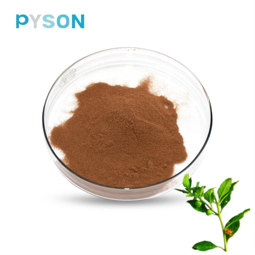 Extrait d&#39;Ashwagandha en poudre Withanolides 2,5%