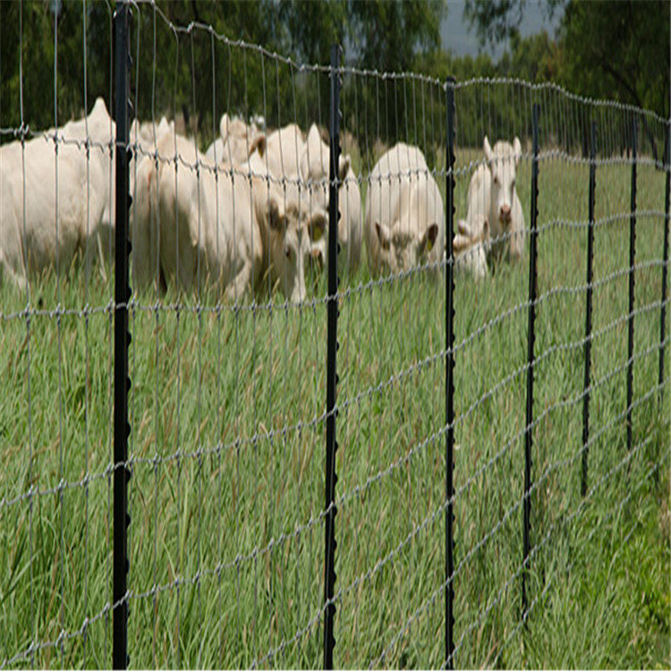 galvanized steel fence posts
