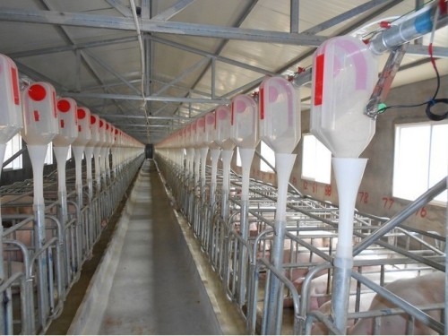 Auto Feeding System /Auto Feeding Line