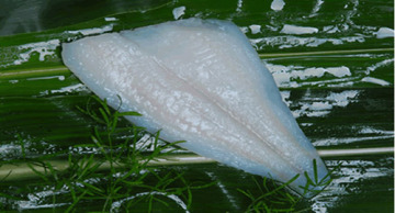 Yellow fin sole fillet