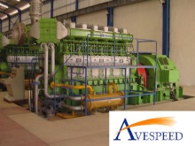 Hfo Power Plant 50mw (25X2MW) (HFO/diesel generator set)