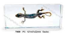 T409-Gecko Specimens-  http://bigbigbug.en.alibaba.com
