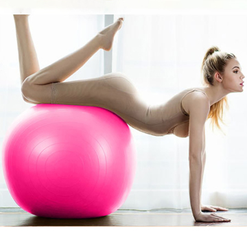 Custom Logo Gym Soft Yoga Ball