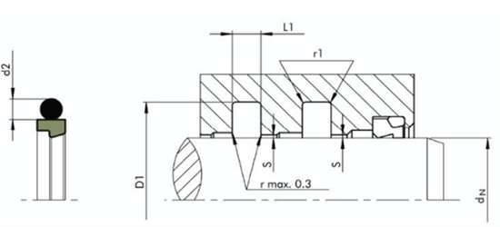 step ring used for shaft