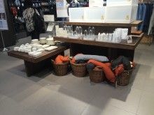 The island ark of popular practical atmosphere