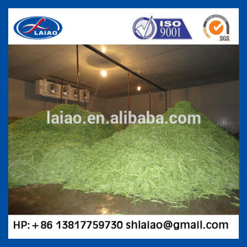 green bean cold storage room