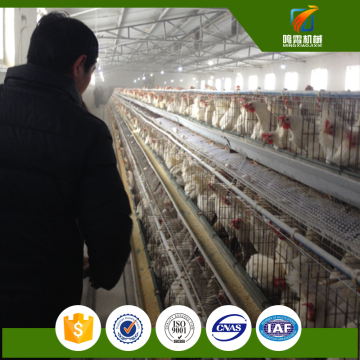 high quality poultry poultry chicken cage system