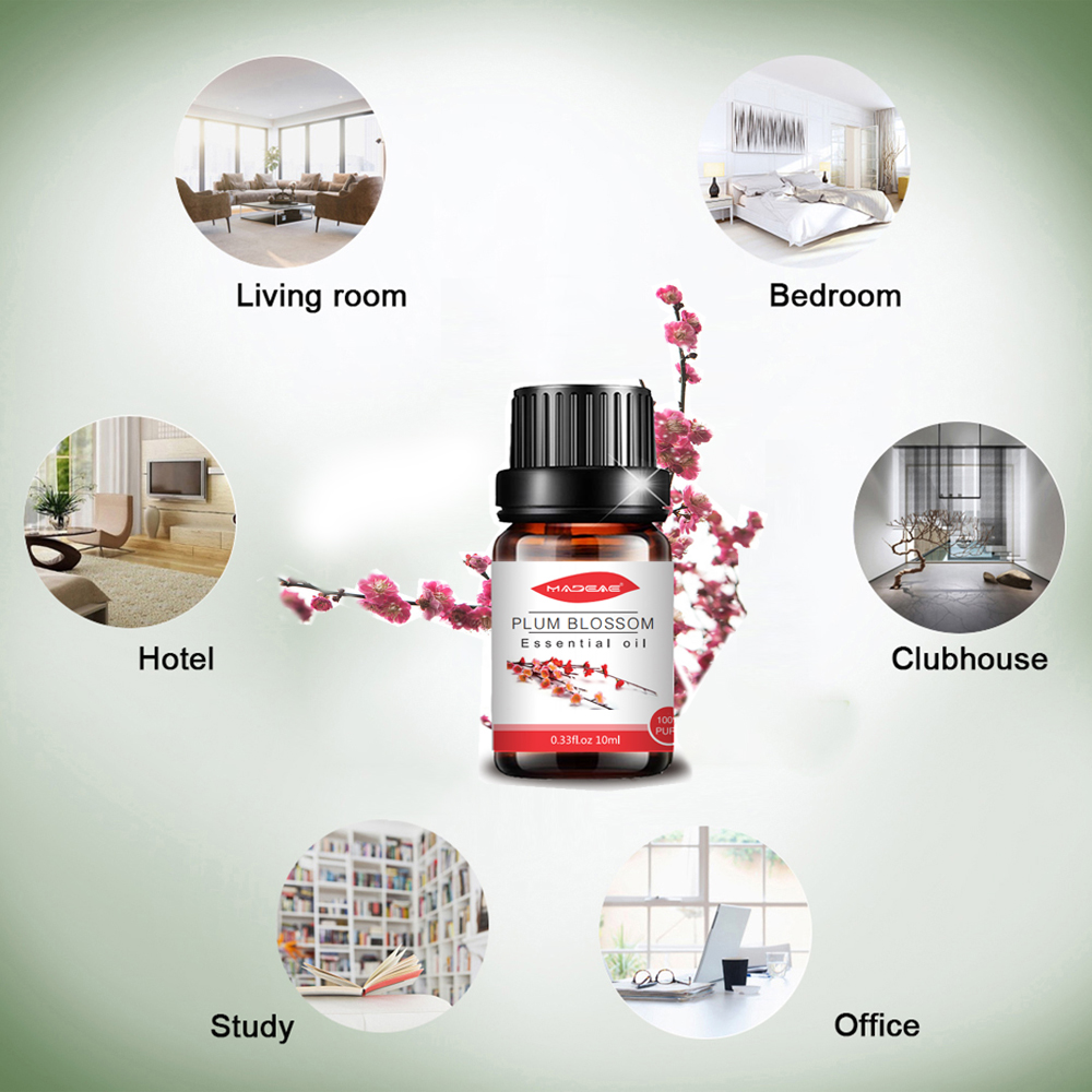 Aromaterapi Plum Blossom Essential Oil untuk kulit