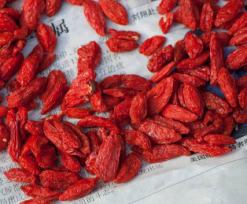 Regulate immune chinese goji berry