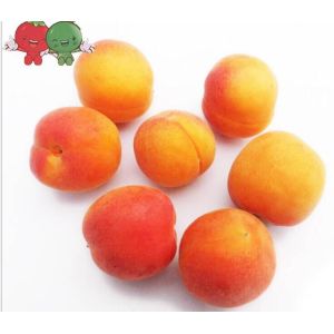 Best Quality Fresh Apricots