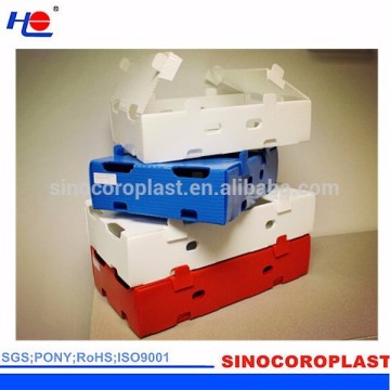 PP Plastic Folding Box