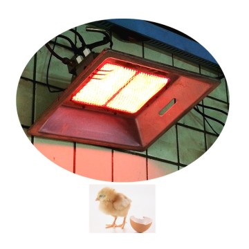 Biogas poultry incubator chicken brooder for sale THD2608