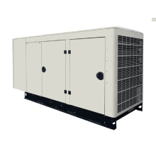 Générateur silencieux sertie de générateur de diesel SGS ISO (10-50KW)