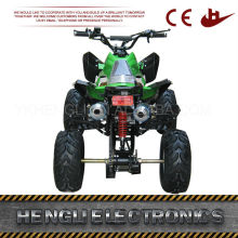 Manual 250Cc Atv With Ce Bike