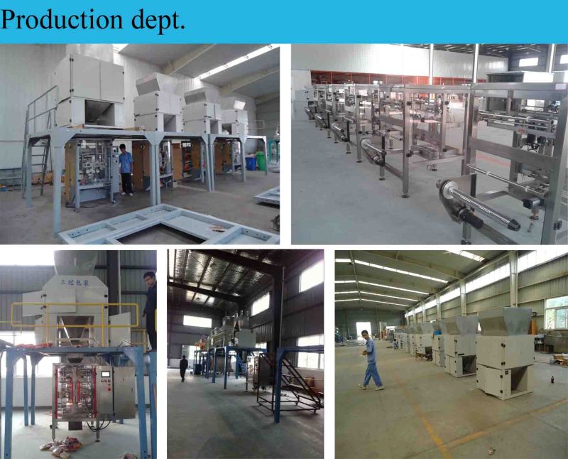 Advanced Automatic Packaging Machine/Packaging Equipment For Nuts