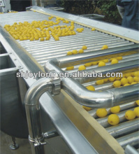 Fruit Sorter