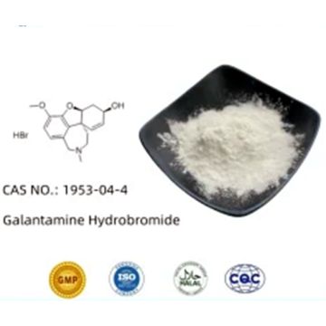 Vendre une hydrobromide de galantamine pour l&#39;anticholinestérase