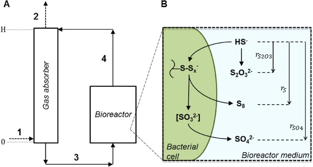 Biological Desulfurization System for Large Scale Biogas Plant