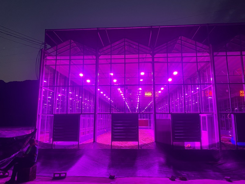 Modern Dağ Tarımını Güçlendirmek: Qingcheng Tarımın Akıllı Cam Sera Projesi Youyang'da Başlıyor Empowering Modern Mountain Agriculture: Qingcheng Agriculture’s Smart Glass Greenhouse Project Launches in Youyang