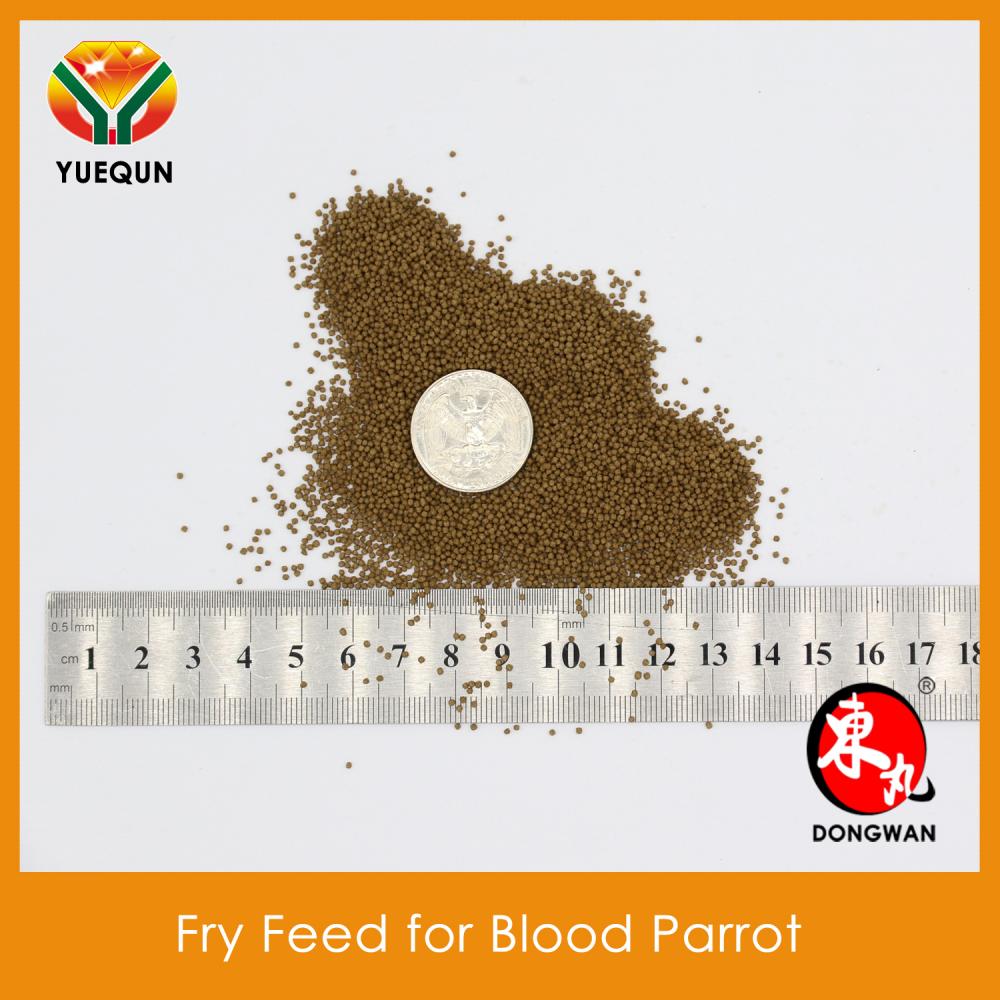 Blood Parrot Fry Feed 5