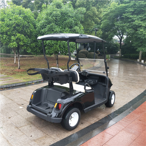 2 person gas power golf carts for sale