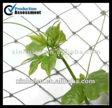 plant climbing net for vine