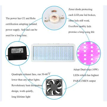 가장 인기있는 2000W LED가 등불을 비추다