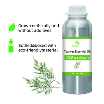 100% puro de materia orgánica natural árbol de té Aceite esencial al por mayor en la gran cantidad de Qulity Distill Distill El árbol de té extractivo Aceite esencial