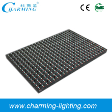 Indoor Full Color RGB LED Display