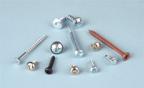 special screw