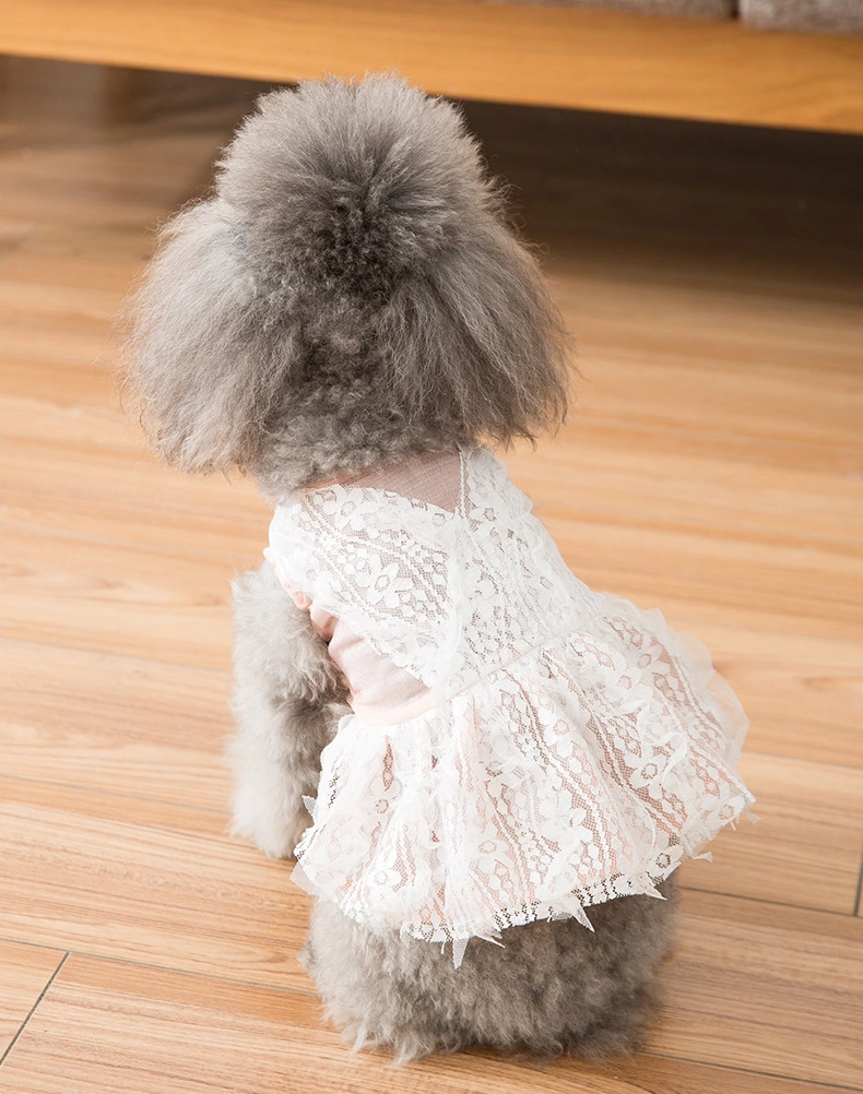 Pet Accessories Dog Skirt Dog Dress Cat Clothes Pet Clothes