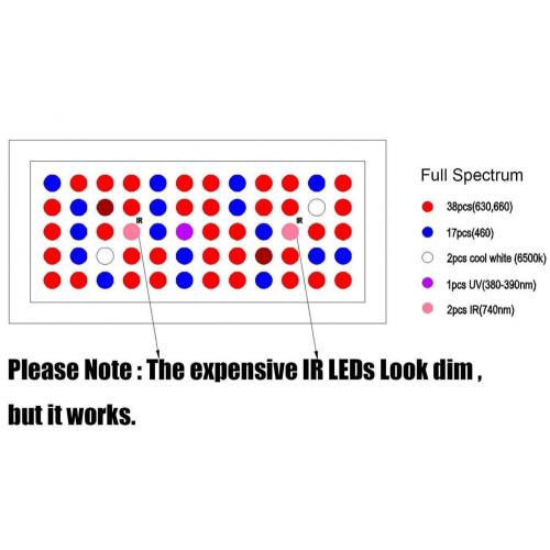 600W LED 실내 식물 수경 식물은 빛을 자랍니다